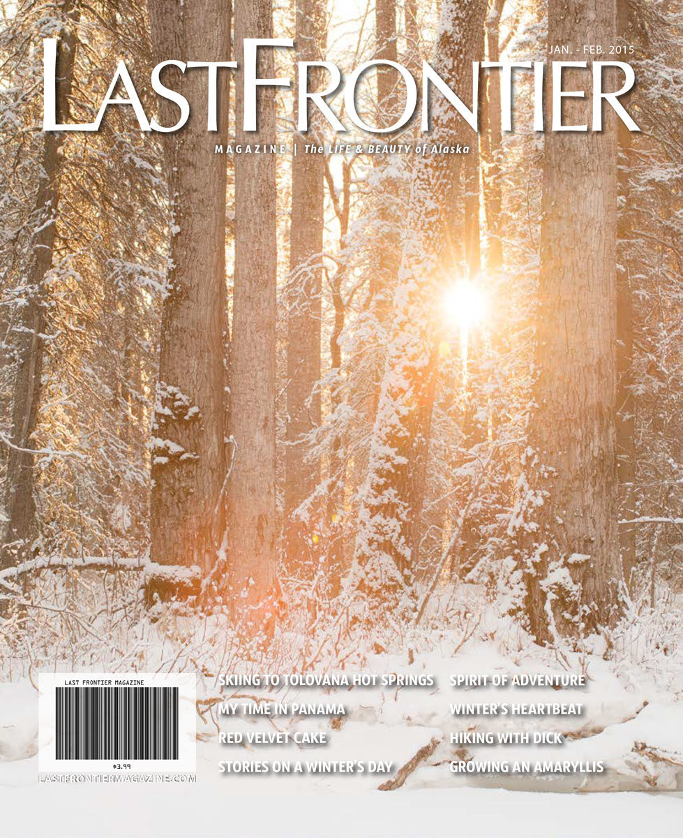Jan/Feb 2015 Issue 200019
