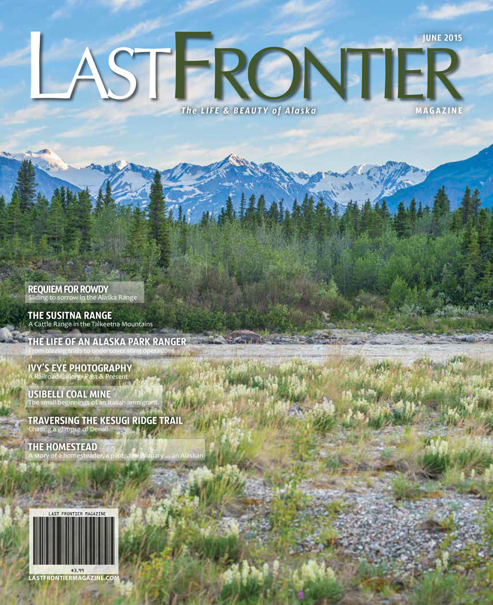 June 2015 Issue 200022