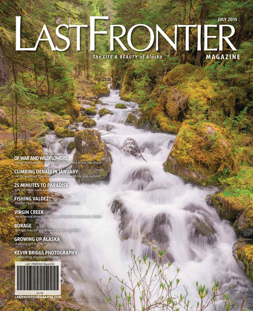 July 2015 Issue 200023