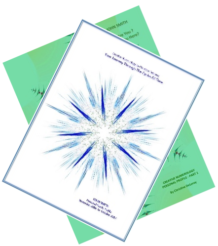 Both profiles (PDF by email) 00050
