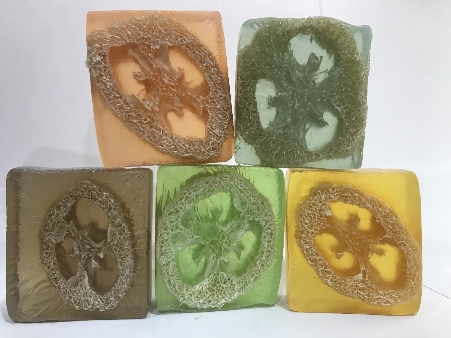 Glycerin Soap with Loofah *SPECIAL* Glycerin Soap with Loofah *SPECIAL*