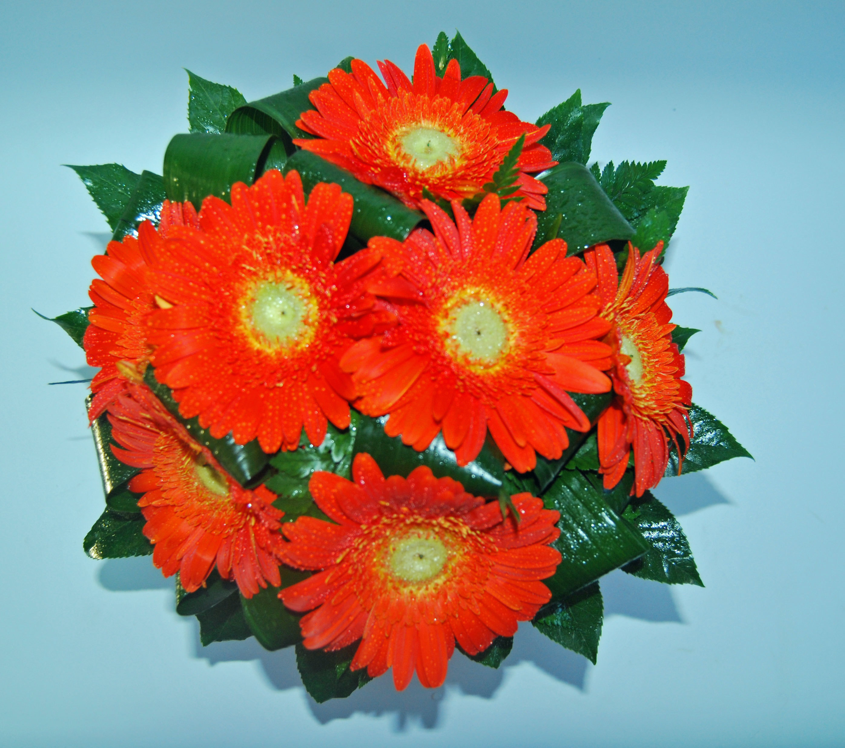 Bouquet Gerberas