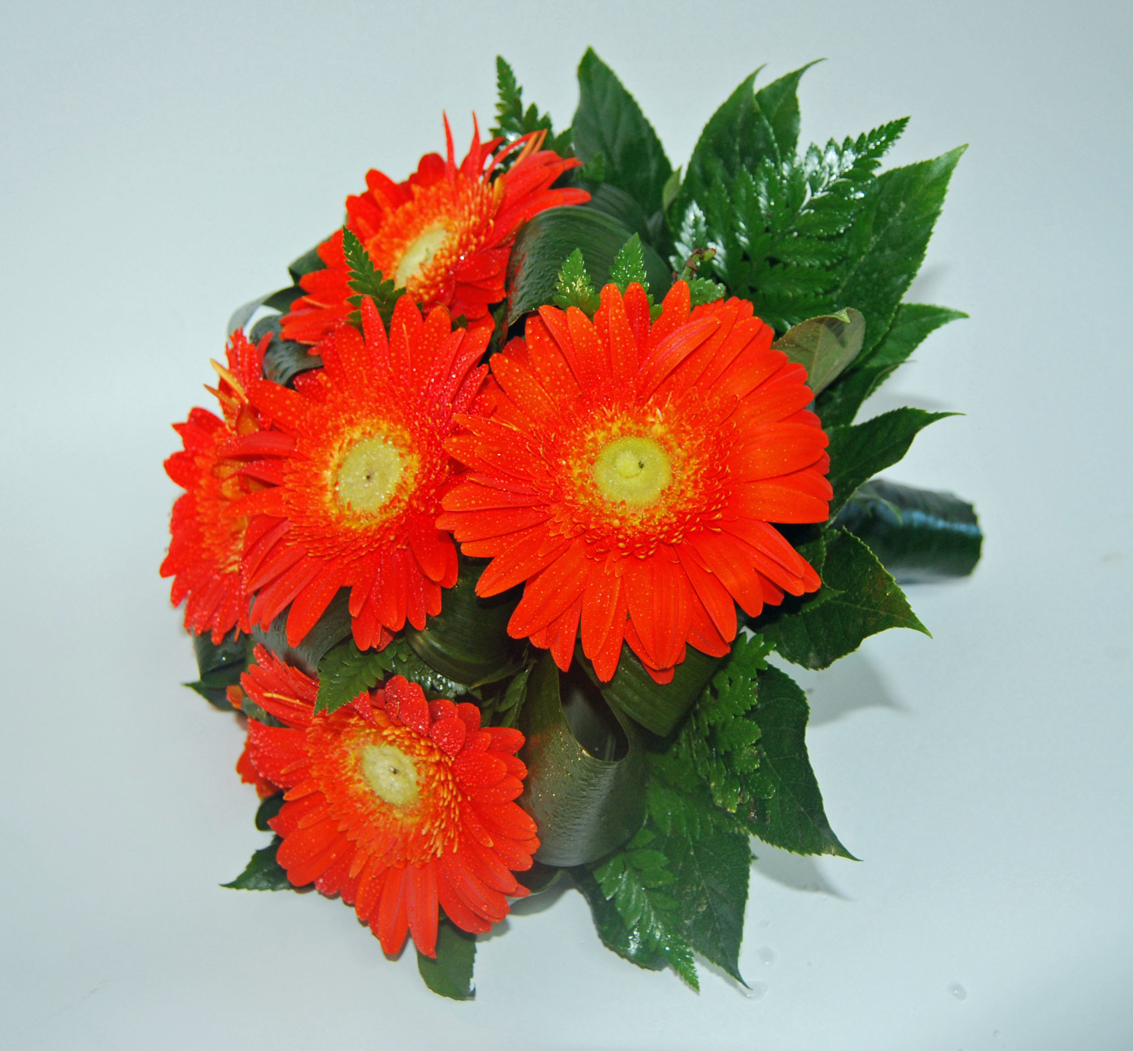 Bouquet Gerberas