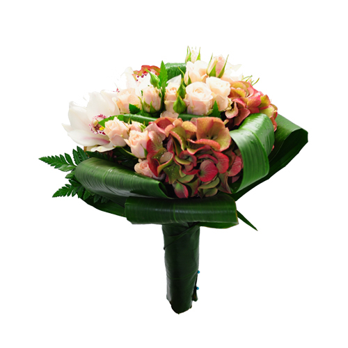 entrega de orquídeas