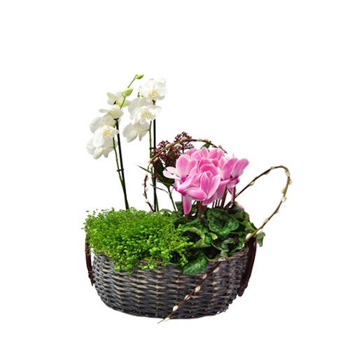 floristas lisboa