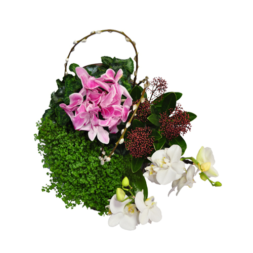 decoração flores