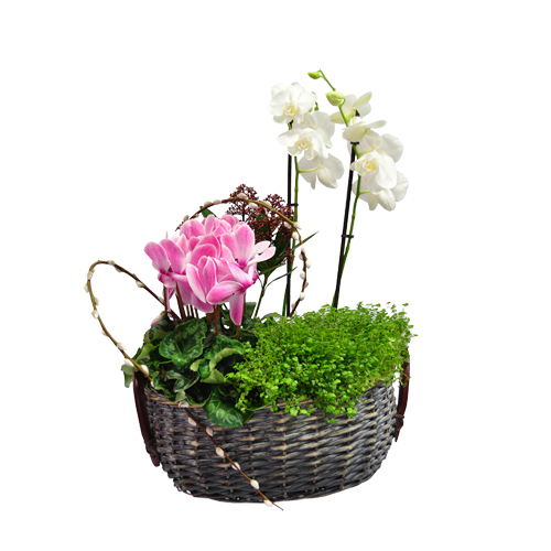 Cesto de Flores 00018