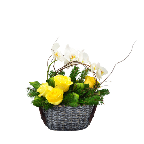 Cesto de Rosas 00020