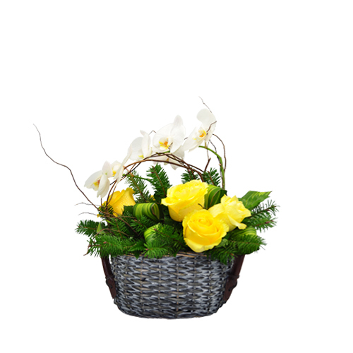 Cesto de Rosas