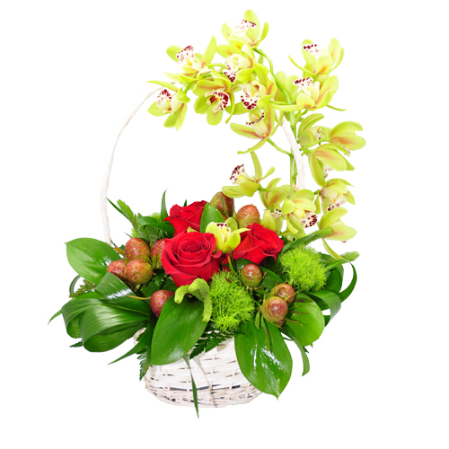 Cesto Misto de Orquideas 00021