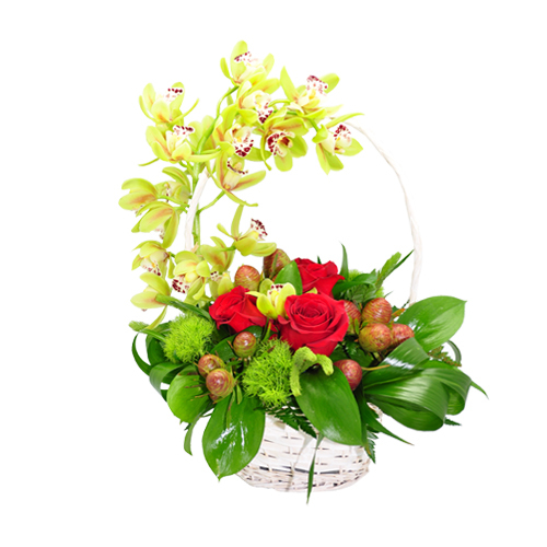 Cesto Misto de Orquideas