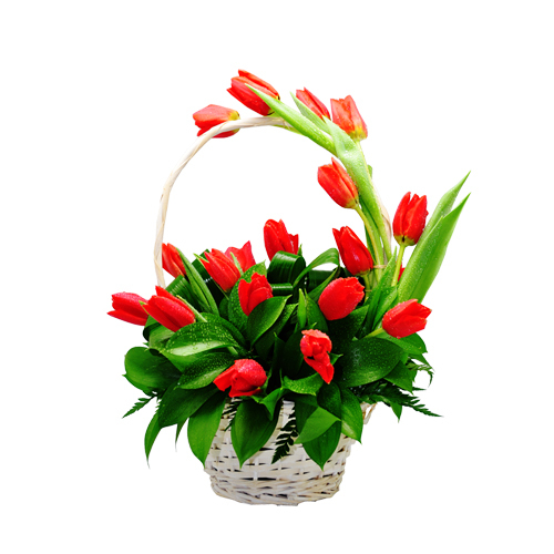 Cesto de Tulipas 00022