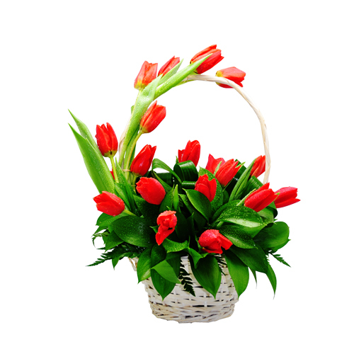 Cesto de Tulipas
