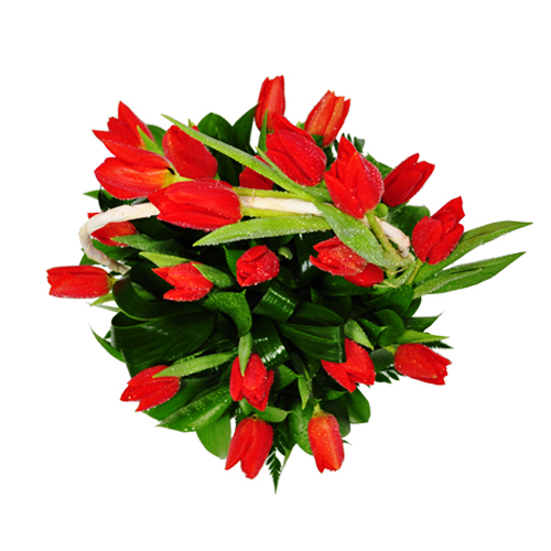 Cesto de Tulipas
