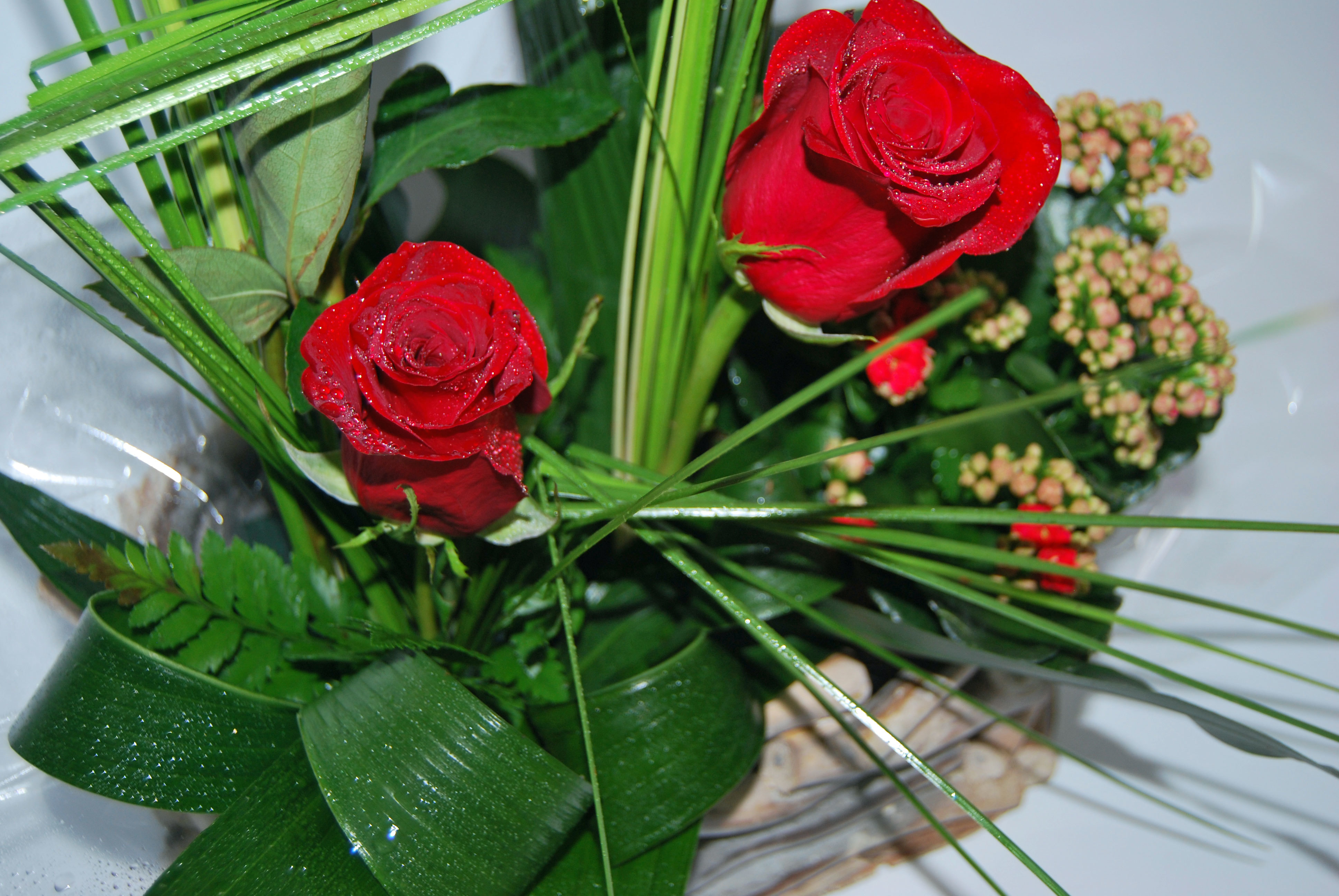 Cesto Rosas com plantas