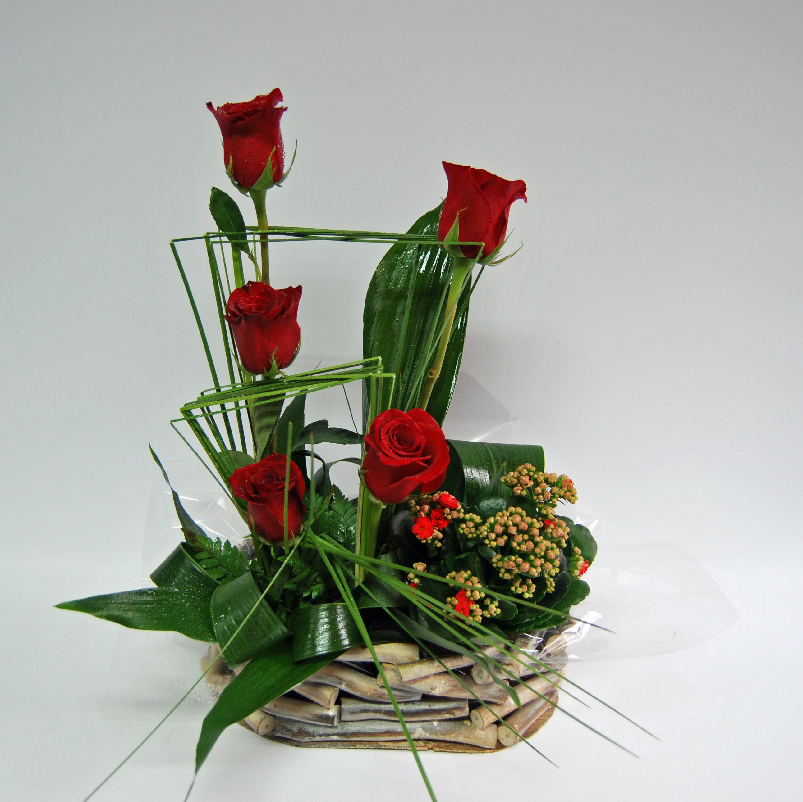 Cesto Rosas com plantas