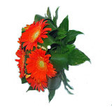 Bouquet Gerberas 00032