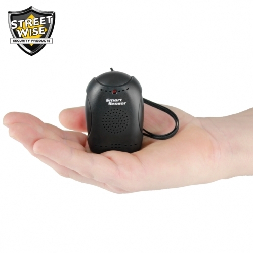 Smart Sensor Volumetric Alarm BCSWSS1000CEP