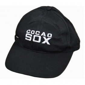 4GB Spy Hat Camera with Remote Hidden Pinhole Video Camera Recorder 30FPS 640*480 BC520020CSC