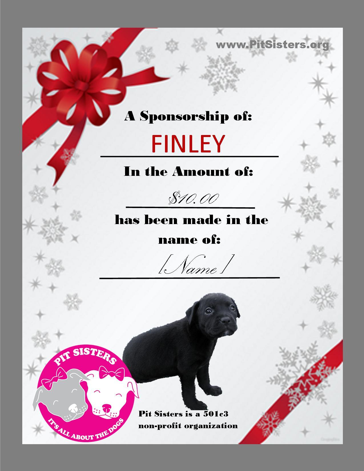 Dog Sponsorship Gift