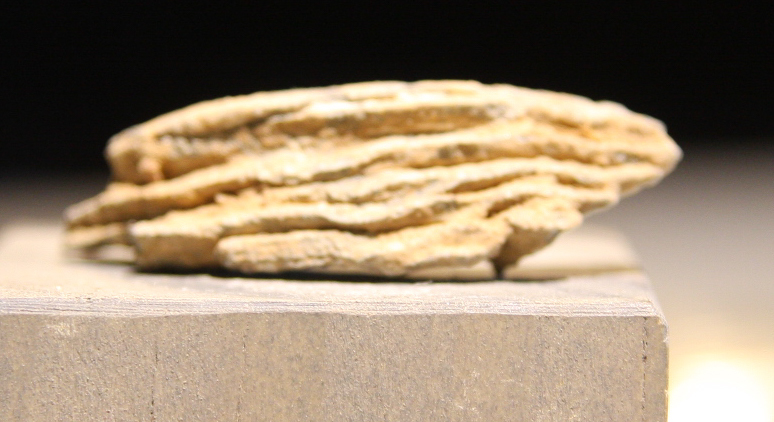 JUST ADDED ON 3/20 - ANTIETAM / BURNSIDE'S BRIDGE - Piece of a Bormann Fuse from a Spherical Artillery Shell A-BB68