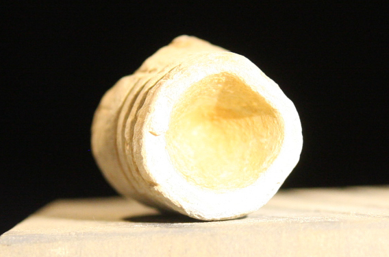 JUST ADDED ON 3/20 - ANTIETAM / BURNSIDE'S BRIDGE - Fired Bullet