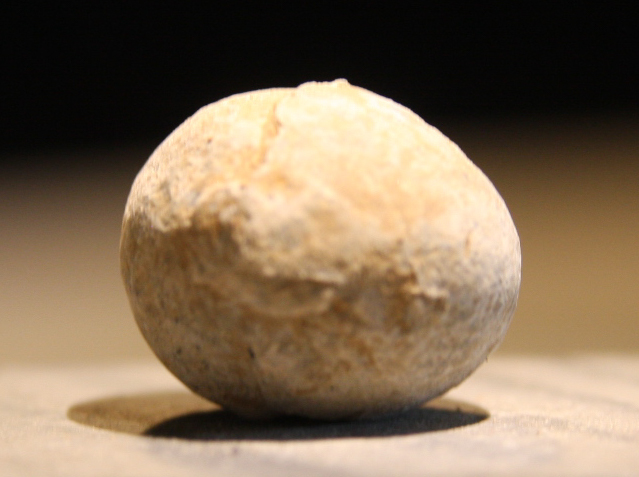 JUST ADDED ON 4/24 - ANTIETAM / BURNSIDE'S BRIDGE - Fired Musket Ball or Case Shot