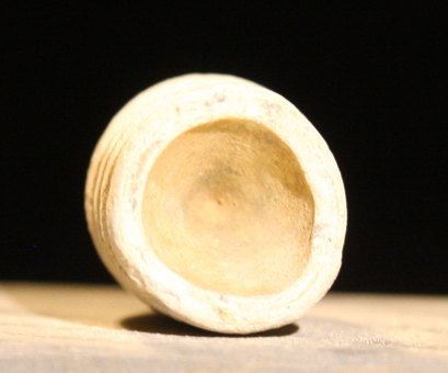 JUST ADDED ON 5/15 - ANTIETAM / MILLER'S CORNFIELD / THE WILSON FARM - .58 Caliber Bullet
