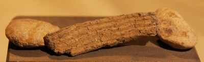 JUST ADDED ON 5/29 - THE BATTLE OF ANTIETAM / MILLER'S CORNFIELD - 3 Artillery Relics - Piece of Bormann Fuse & 2 Case Shot - Found between 1975 and 1979 JUST ADDED ON 5/29 - THE BATTLE OF ANTIETAM / MILLER'S CORNFIELD - 3 Artillery Relics - Piece of Bormann Fuse & 2 Case Shot - Found between 1975 and 1979