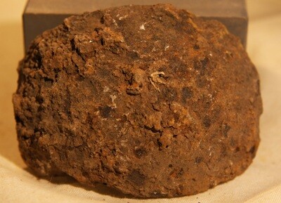 JUST ADDED ON 7/14 - THE BATTLE OF ANTIETAM / MILLER'S CORNFIELD - Artillery Shell Fragment - Might be from a Solid Shot - Found between 1975 and 1979 JUST ADDED ON 7/14 - THE BATTLE OF ANTIETAM / MILLER'S CORNFIELD - Artillery Shell Fragment - Might be from a Solid Shot - Found between 1975 and 1979
