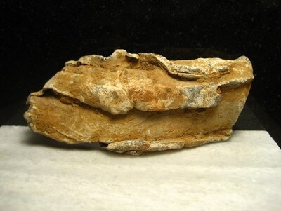 JUST ADDED ON 9/19 - BATTLE OF GETTYSBURG - CEMETERY RIDGE / PENNSYLVANIA MEMORIAL / ROSENSTEEL - Fragment of a Hotchkiss Artillery Shell Sabot JUST ADDED ON 9/19 - BATTLE OF GETTYSBURG - CEMETERY RIDGE / PENNSYLVANIA MEMORIAL / ROSENSTEEL - Fragment of a Hotchkiss Artillery Shell Sabot