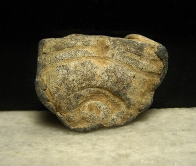JUST ADDED ON 2/5 - MILLER'S CORNFIELD / THE BATTLE OF ANTIETAM - High Impact Fired Type I William's Cleaner Bullet - Very Odd Impact Shape - recovered in the late 1970s / Early 1980s JUST ADDED ON 2/5 - MILLER'S CORNFIELD / THE BATTLE OF ANTIETAM - High Impact Fired Type I William's Cleaner Bullet - Very Odd Impact Shape - recovered in the late 1970s / Early 1980s