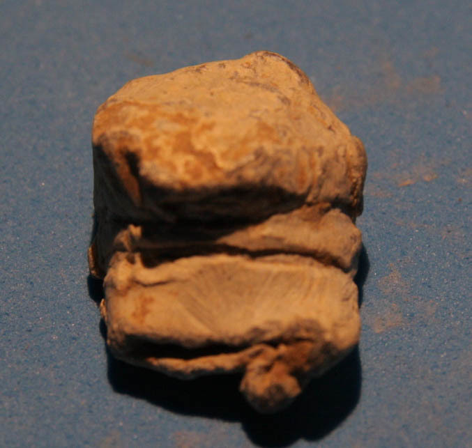 JUST ADDED ON 12/10 - GETTYSBURG - THE EMMITSBURG ROAD JUST SOUTH OF THE POSITION HELD BY LAW'S BRIGADE - High Impact Fired Confederate Gardner Bullet