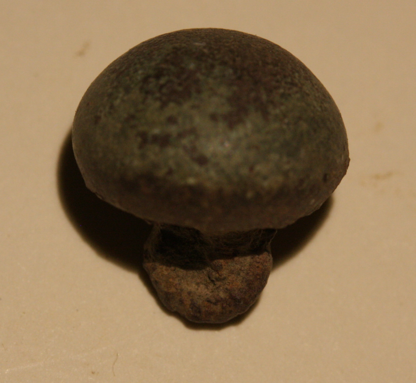 JUST ADDED ON 8/24 - GETTYSBURG - THE TROSTLE FARM - ROSENSTEEL FAMILY - Zouave or Ball Cuff Button GR-IRTFH14