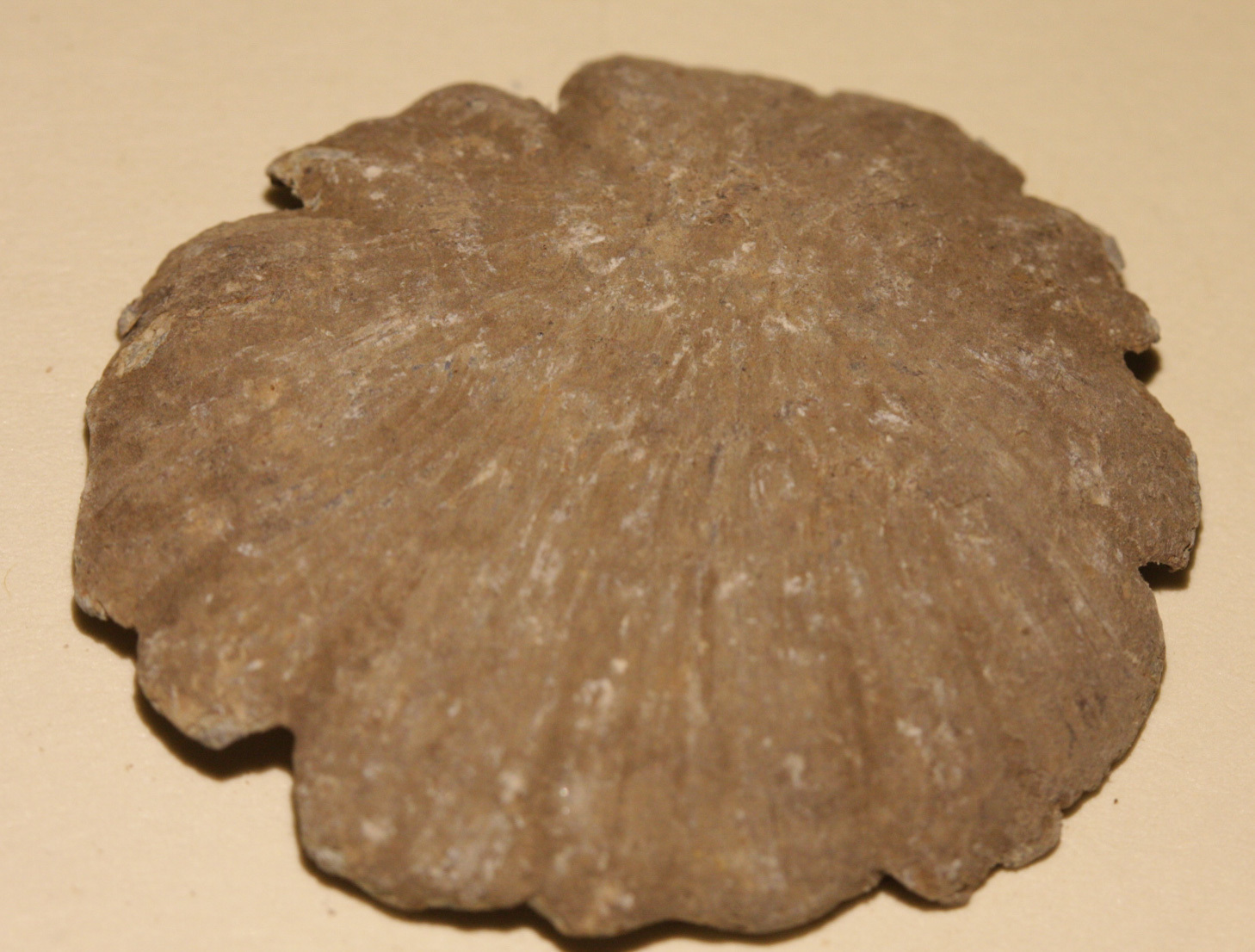JUST ADDED ON 8/29 - GETTYSBURG - AREA BETWEEN THE WHEATFIELD AND THE LOOP - ROSENSTEEL FAMILY - Very Cool High Impact & Splattered Round Ball or Case Shot GR-IRWLPH11