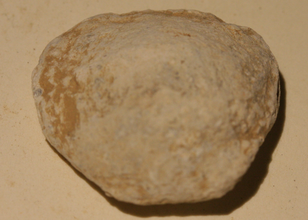 JUST ADDED ON 11/16 - ANTIETAM - MILLER'S CORNFIELD - THE WILSON FARM - Fired Round Ball A-WF213