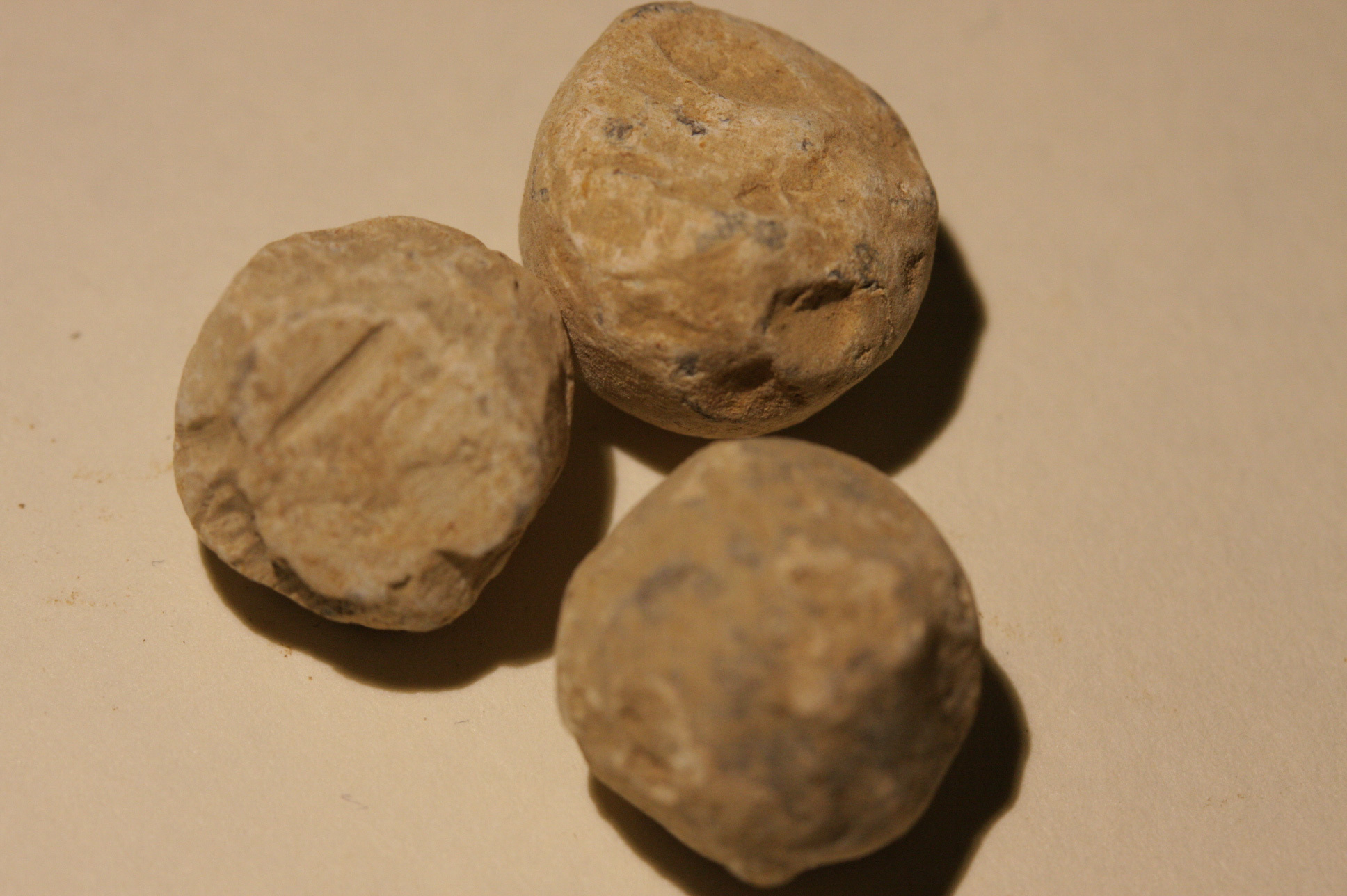 JUST ADDED ON 11/21 - THE BATTLE OF CROSS KEYS / MILTON'S ATTACK / JACKSON'S VALLEY CAMPAIGN - Three Pistol Balls or Small Case Shot WB-CKM37