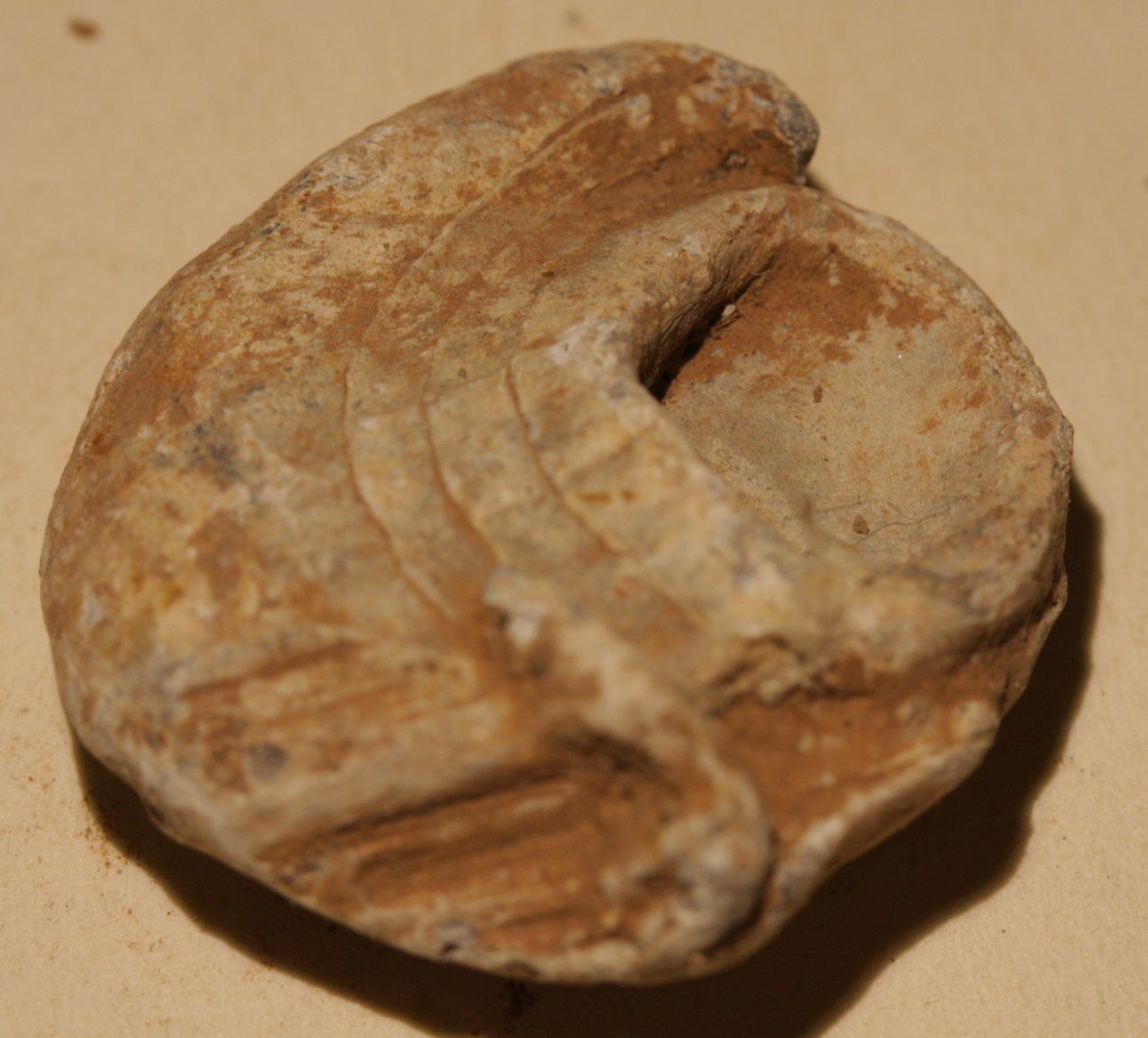 JUST ADDED ON 11/21 - GETTYSBURG - CULP'S HILL - Mushroomed Fired Bullet