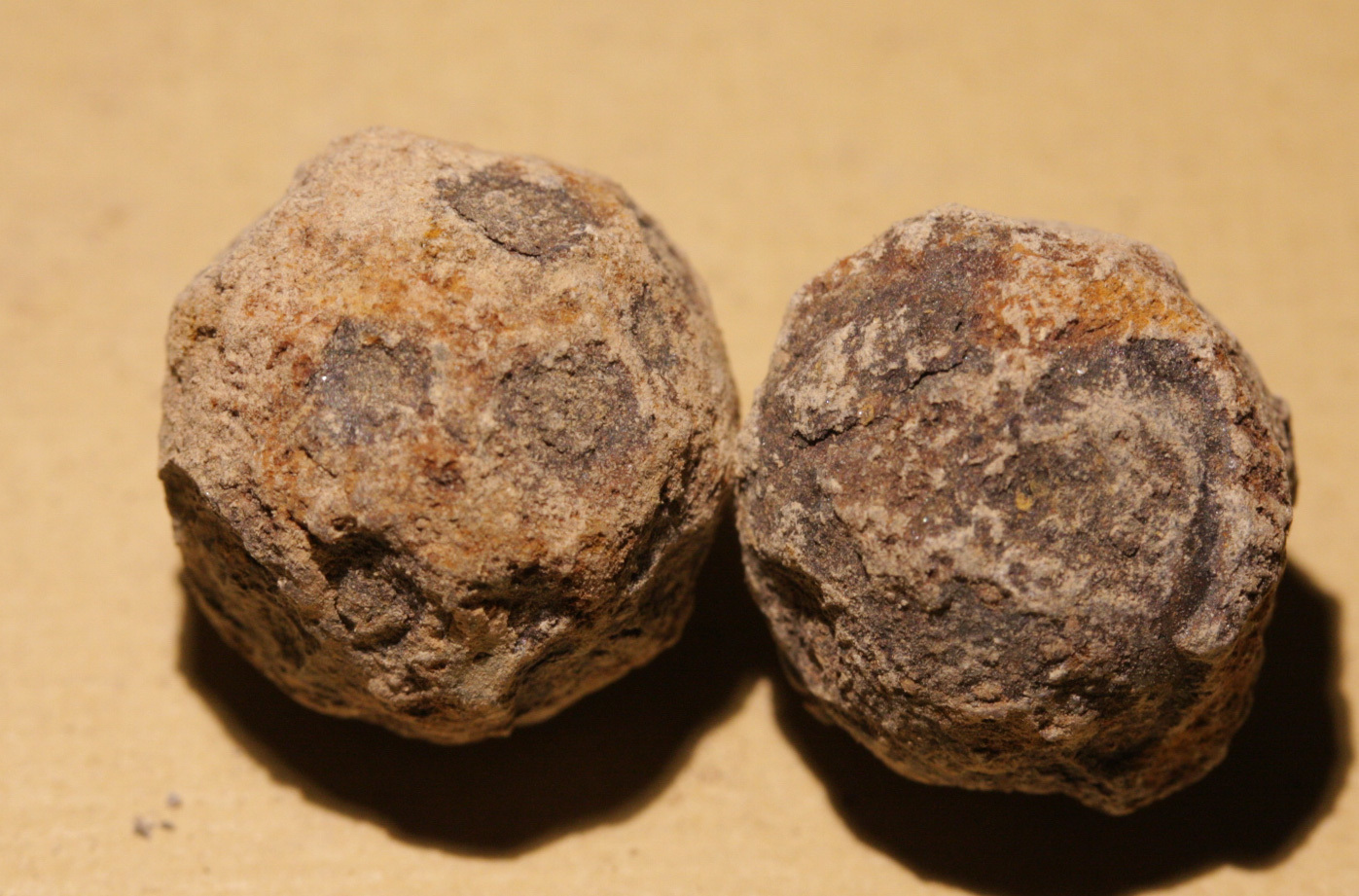JUST ADDED ON 12/07 - THE BATTLE OF PORT REPUBLIC / JACKSON'S VALLEY CAMPAIGN - Two Iron Case Shot Balls WB-PR18