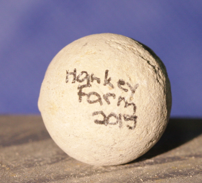 JUST ADDED ON 1/12 - GETTYSBURG / RODES CONFEDERATE DIVISION HOSPITAL / THE HANKEY FARM - .69 Caliber Round Ball with Relic Hunter's ID GR-HKF03