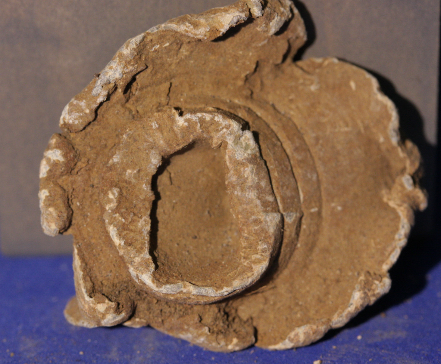 JUST ADDED ON 1/19 - GETTYSBURG - HOLLOW BETWEEN DEVIL'S DEN / LITTLE & BIG ROUND TOPS - ROSENSTEEL FAMILY - Mushroomed Fired Bullet GR-IRDLB12
