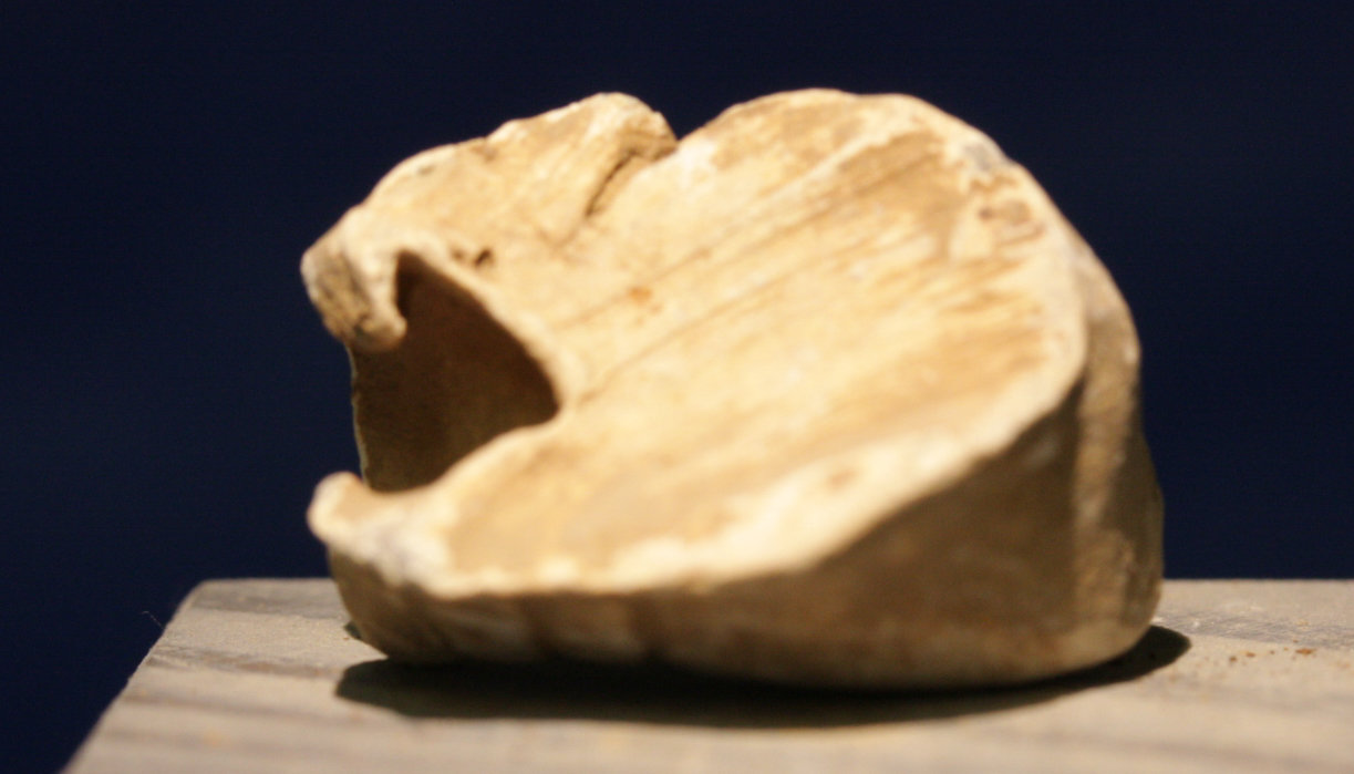 JUST ADDED ON 4/13 - GETTYSBURG - CULP'S HILL - High Velocity Impact Fired Bullet