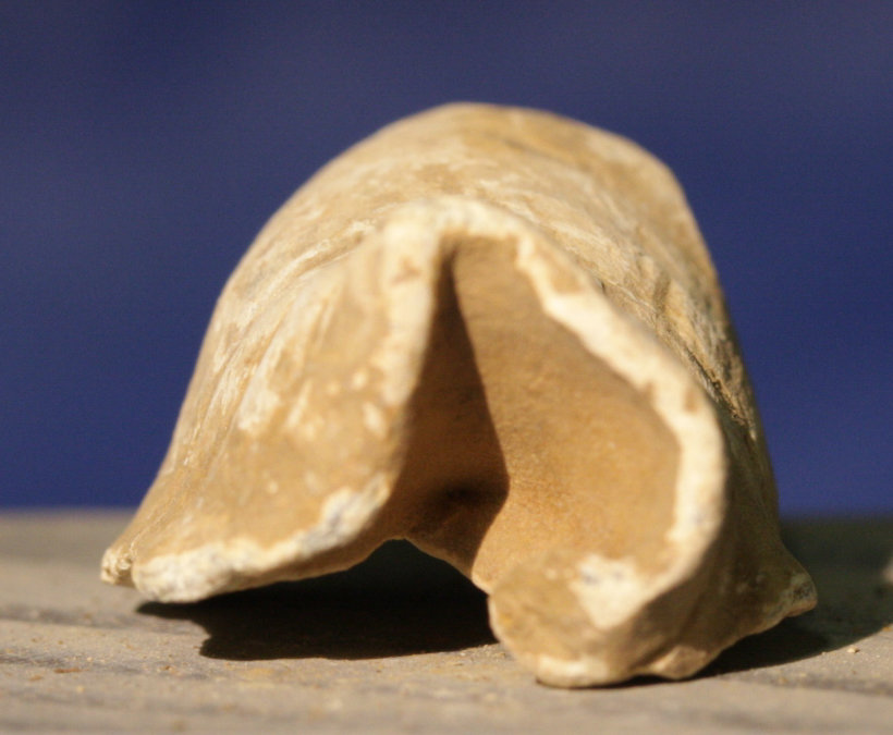 JUST ADDED ON 4/13 - GETTYSBURG - CULP'S HILL - High Velocity Impact Fired Bullet