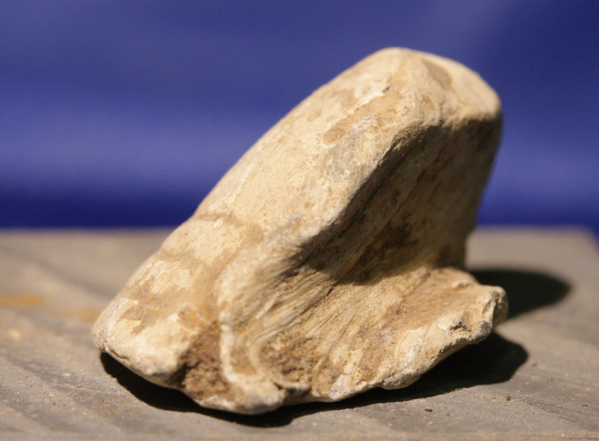 CLEARANCE - GETTYSBURG - TOP OF DEVIL'S DEN - ROSENSTEEL FAMILY - High Impact Fired Bullet GR-IRDDTH76a