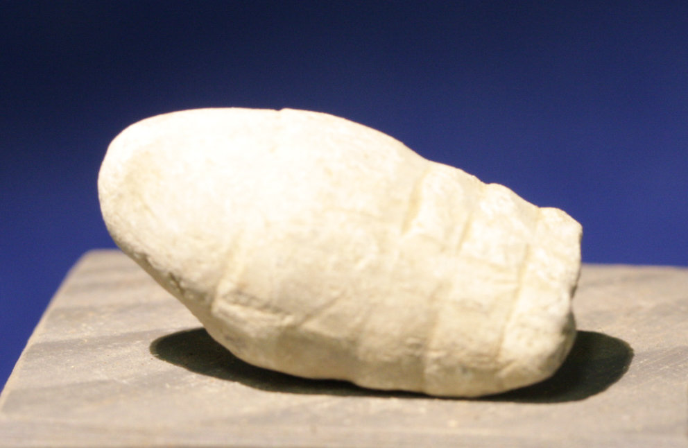 JUST ADDED ON 5/18 - GETTYSBURG - DEVIL'S DEN - ROSENSTEEL FAMILY - Fired Bullet with Ram Rod Mark