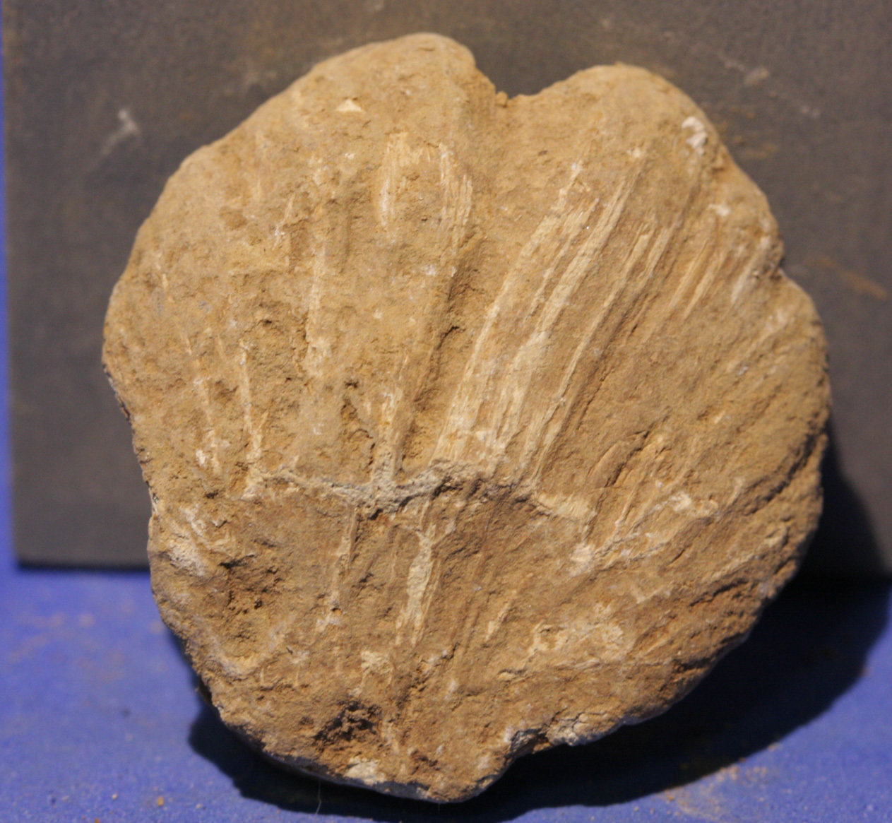 JUST ADDED ON 6/1 - GETTYSBURG - CULP'S HILL - High Impact Fired Bullet
