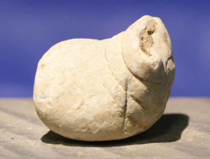 JUST ADDED ON 8/3 - GETTYSBURG - THE TROSTLE FARM - ROSENSTEEL FAMILY - Partially Mushroomed Fired Bullet GR-IRTFH42