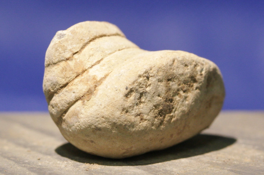 JUST ADDED ON 8/3 - GETTYSBURG - THE TROSTLE FARM - ROSENSTEEL FAMILY - Partially Mushroomed Fired Bullet
