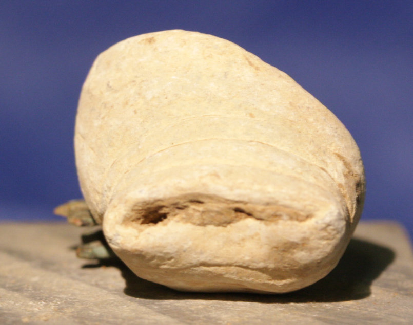 JUST ADDED ON 8/3 - GETTYSBURG - THE TROSTLE FARM - ROSENSTEEL FAMILY - Partially Mushroomed Fired Bullet