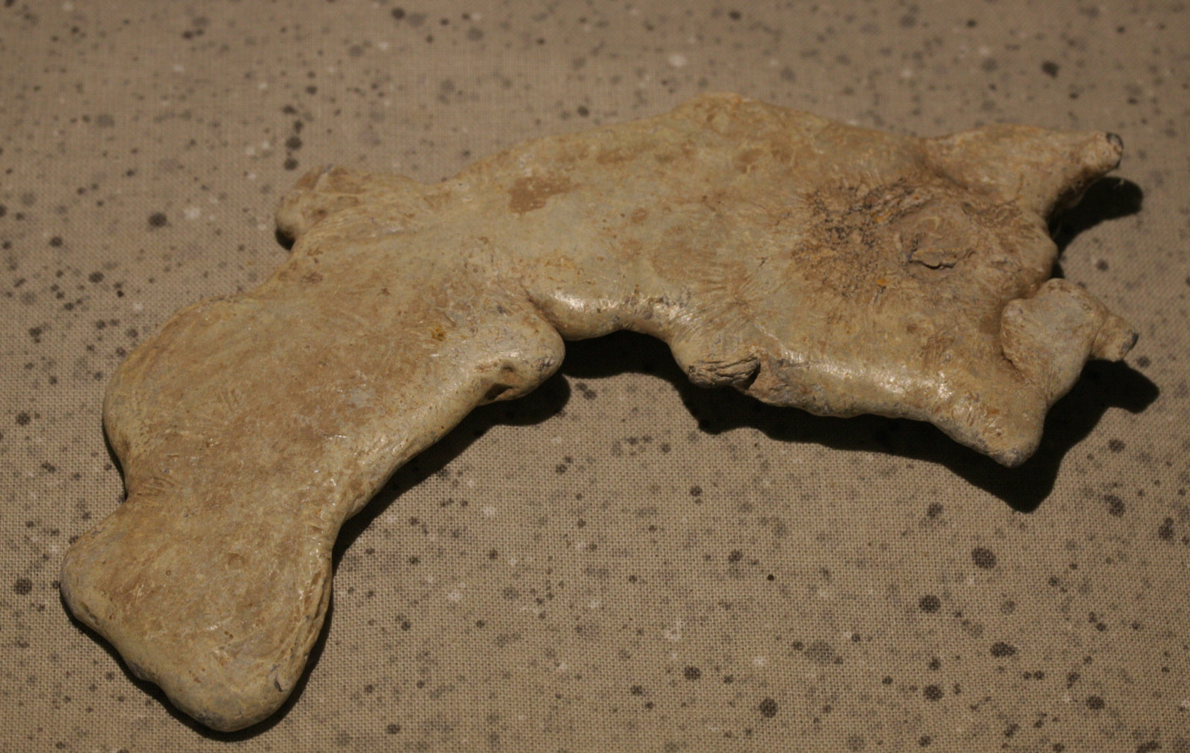 JUST ADDED ON 10/5 - ANTIETAM - THE EAST WOODS - WENTWORTH MILITARY ACADEMY COLLECTION - Really Large Piece of Lead found in 1956